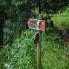 Plants: image 126 Of 208 Thumb